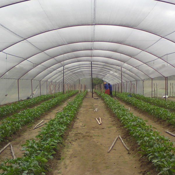 Agricultural Nets