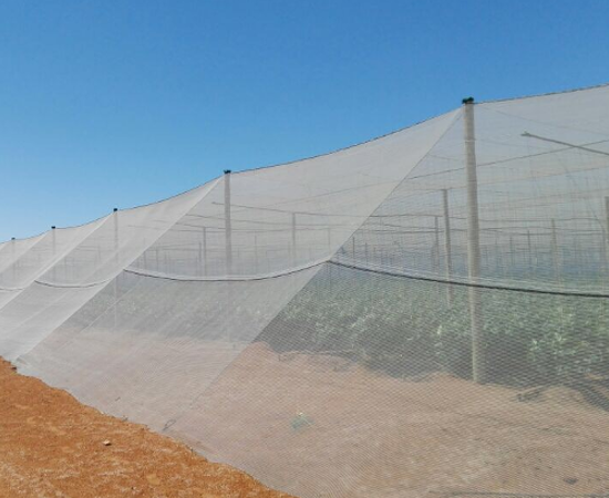 Agricultural Nets