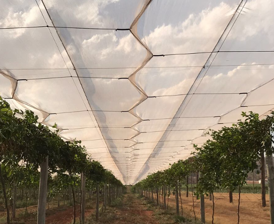 Agricultural Nets