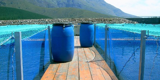 Fishing Nets