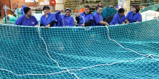 Fishing Nets